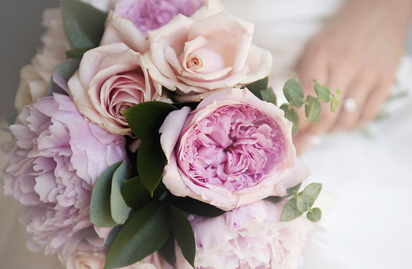 purple flowers