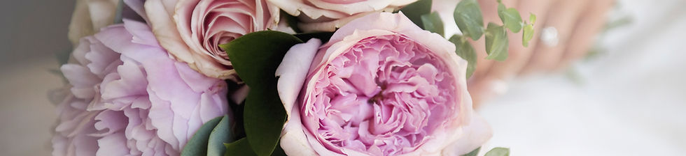 purple flowers