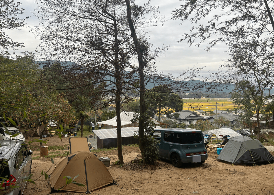 四季折々の風景が楽しめる丘サイト。空きから冬にかけて、落葉と紅葉が楽しめます♪