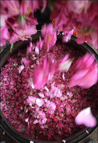 サムネイル： D,ROSE ローズウオーター 200ml