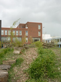 P1150186.JPG