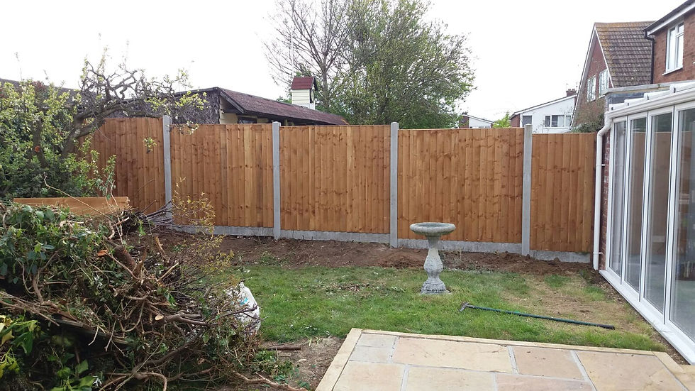 Services MTH Fencing Colchester