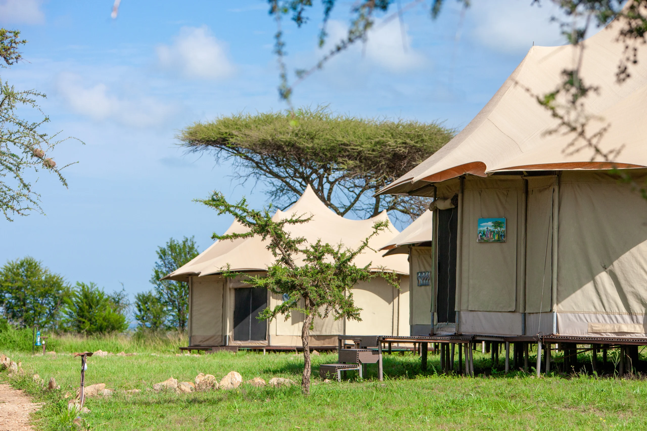 Wildebeest Safari Camp Serengeti 
