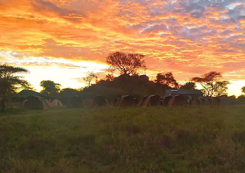 safari con camping serengeti campamento con carpas