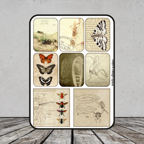 *Digital Only* Entomology Mini Kit | Steph's Design Space