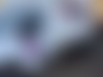 CRANSLEY HOSPICE CHRISTMAS TREE COLLECTION