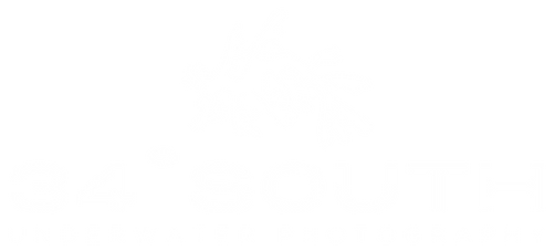 34 Degrees South - Images of the Great Southern Reef. Insight, Images and Information on the incredible diversity of South Australia’s underwater world.