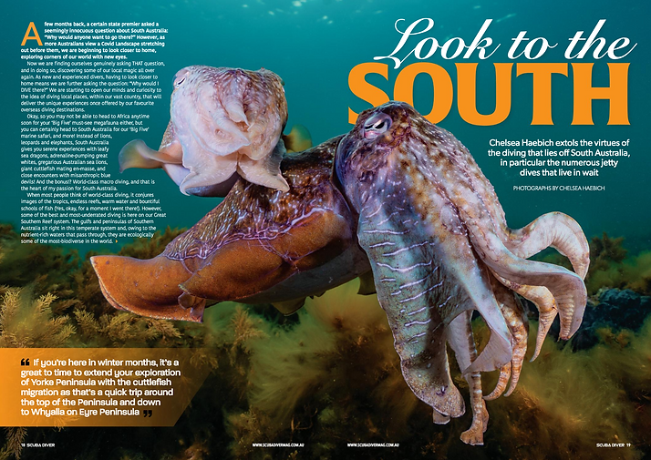 Screen Shot 2021-04-11 at 10.06.02 AM.png