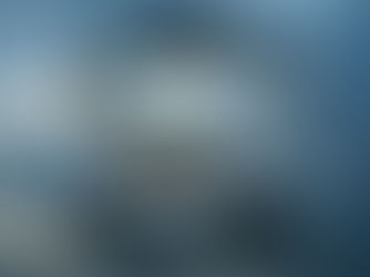 Visualizing the World Turtle 