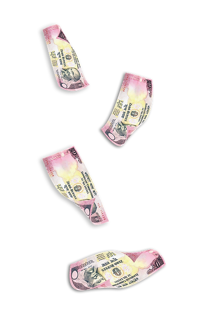 Zero ruppee transparent falling.png
