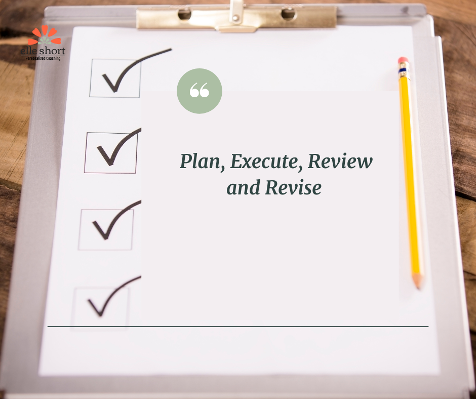 Execute, Review & Revise