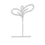 akaf01%201_edited.png