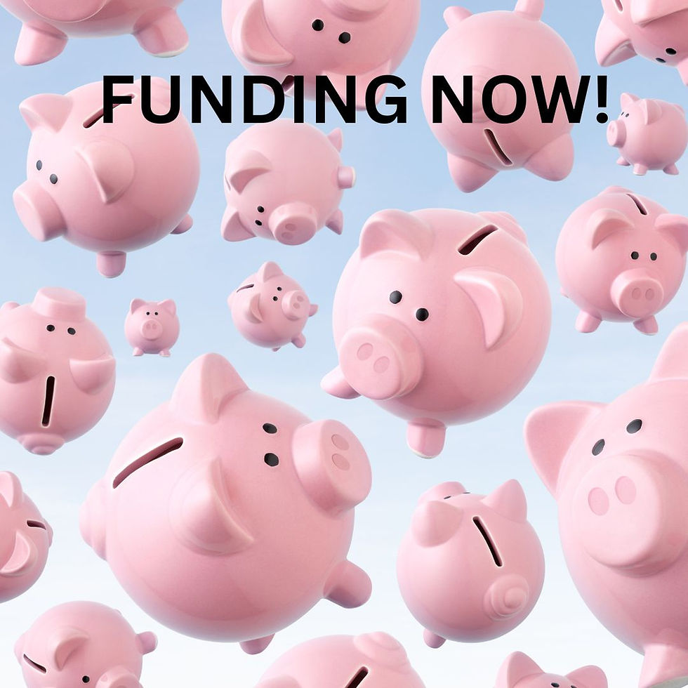 FUNDING NOW! PIGGYS.jpg