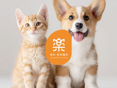 logo vi design branding