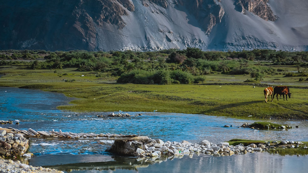 Payasage Ladackh Rivière Montagne