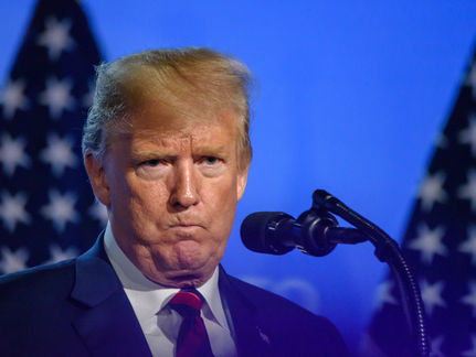 Trump Pushes to Become Supreme Judge of All the Lands