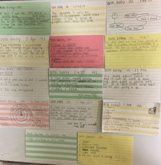 Attendance Cards!