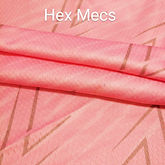standard4.jpg