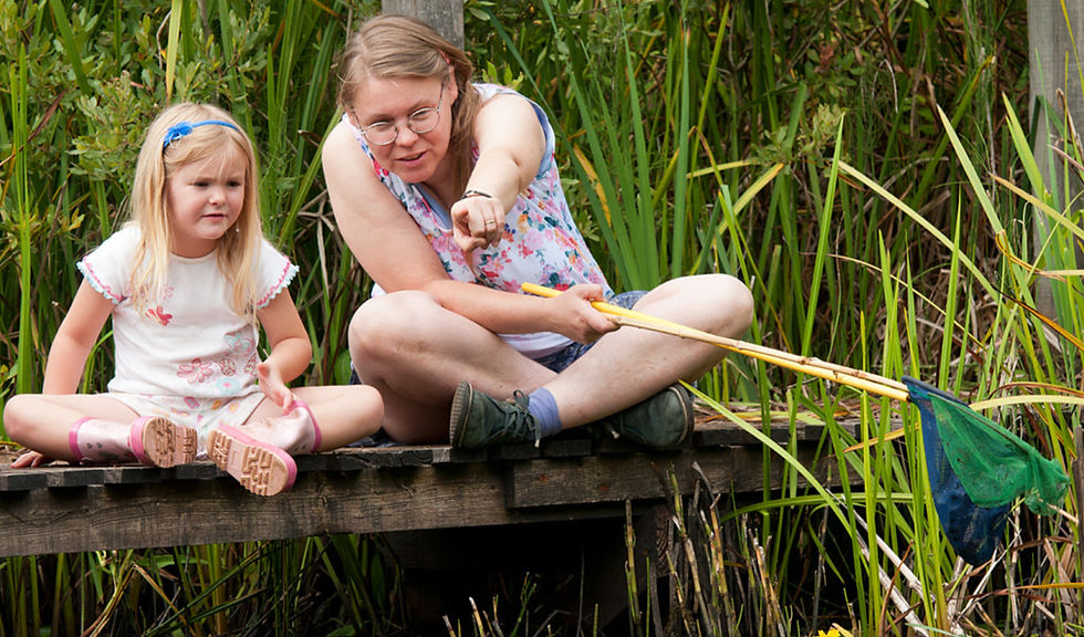 Exploring Summer Adventures with Staffordshire Wildlife Trust