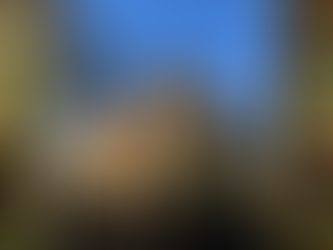 Tamworth Castle Collections Exhibited in Staffordshire Community Venues