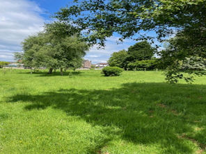 Unveiling Plans for Green Spaces in Cheadle