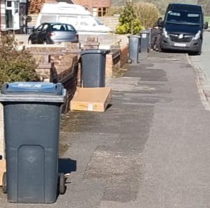 What's Happening with Our Bins?