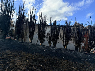 Two Arrested Following Devastating Fire at Tunstall Homes