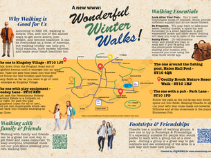 Introducing Pocket Cog