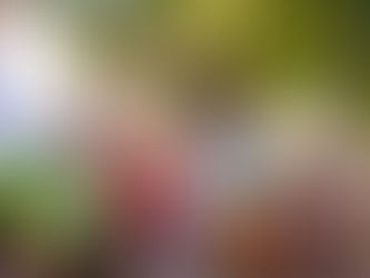 Get your tickets for the Festival of Brilliance 2026