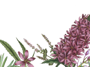 5 Things to Do this Mother's Day