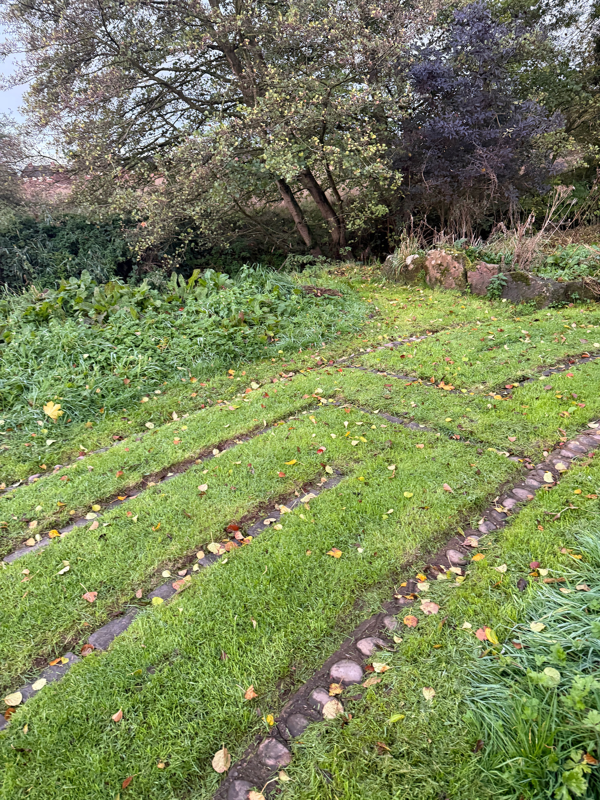 Cecily Brook's Racing Labyrinth