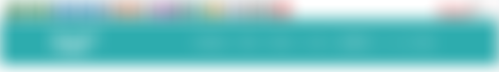 FSB menu showing accessibility toolbar