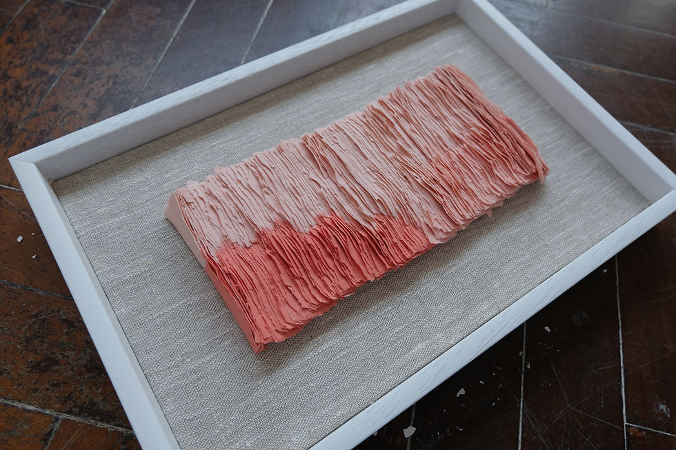 Thumbnail: Coral Maquette