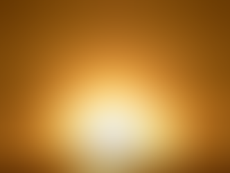 NEWS: Rocket Launch of the Lunar Museum of Art!