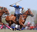 ellerstina vs alegria .jpeg