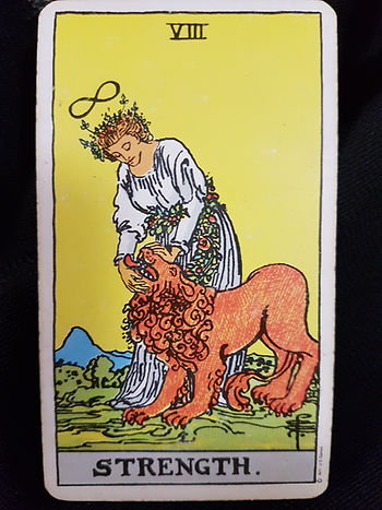 The Strength Card No 8 lynsreadings.com
