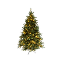 Christmas Tree Lights_edited.png