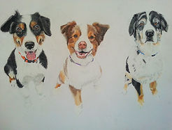 Pet portrait of 3 dogs A2 size in pastels