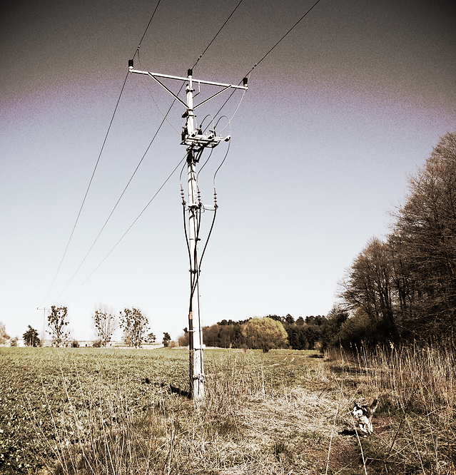 NANDO-PROJEK Sp. z o.o. | Instalacje elektryczne | Lubin, Polkowice, Głogów, wiz, wlz, przyłącze, sieć, stacja transformatorowa, oświetlenie, drogowe, uliczne, projekt, budowlany, Tauron, KGHM, elektryk, Przemysław Małek, 