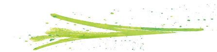 Dekoelement