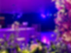 IMG_5642.JPEG