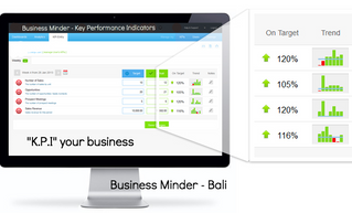 K.P.I.'s for your business - Snapshots and Dashboards using Key Performance Indicators