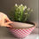 Thumbnail: Checked Enamel Bowl | Pink & White