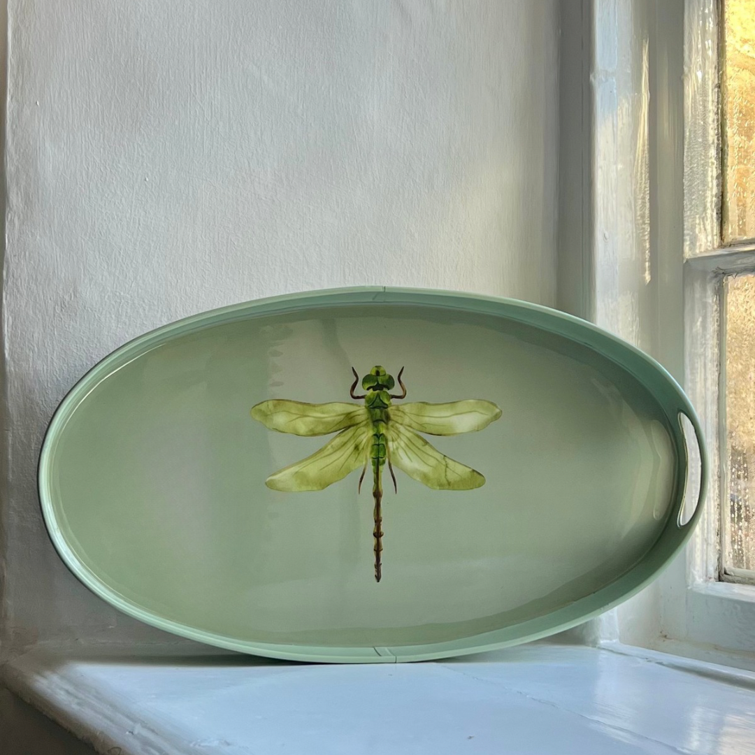 “Seconds” Oval Tray | Dragonfly | Large