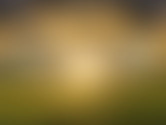 You Don't Have To Know