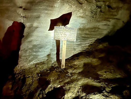 borden waarop staat “Verboden toegang – overtreders worden vervolgd.”   Zoals dit bord uit 1904 in Ruakuri Cave in Nieuw-Zeeland.