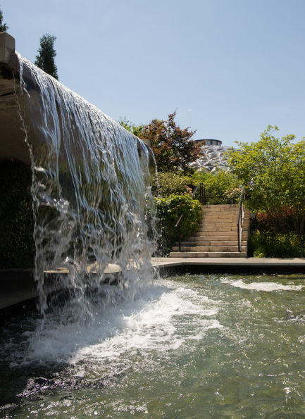 Vargason.BotGarden.001-19