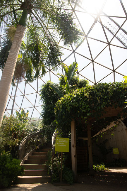 Vargason.BotGarden.001