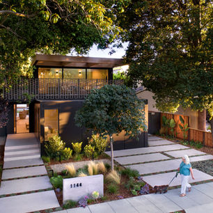 Forest House
