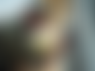 Your Ultimate Pre-Purchase Inspection Guide: Why It Matters More Than You Think